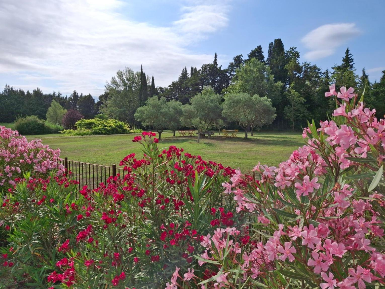 巴斯蒂特阿莫里尔住宿加早餐旅馆 Caumont-sur-Durance 外观 照片
